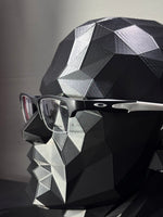 Oakley Crosslink - Descanso PB