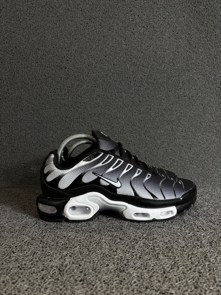 Air Max TN Plus Degradê