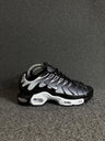 Air Max TN Plus Degradê