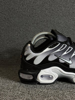 Air Max TN Plus Degradê