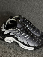 Air Max TN Plus Degradê