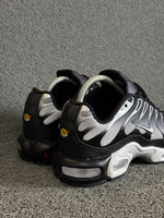 Air Max TN Plus Degradê